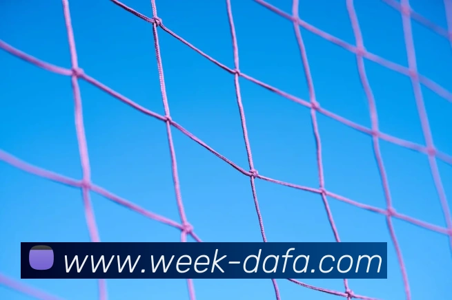 大发彩票发展历程